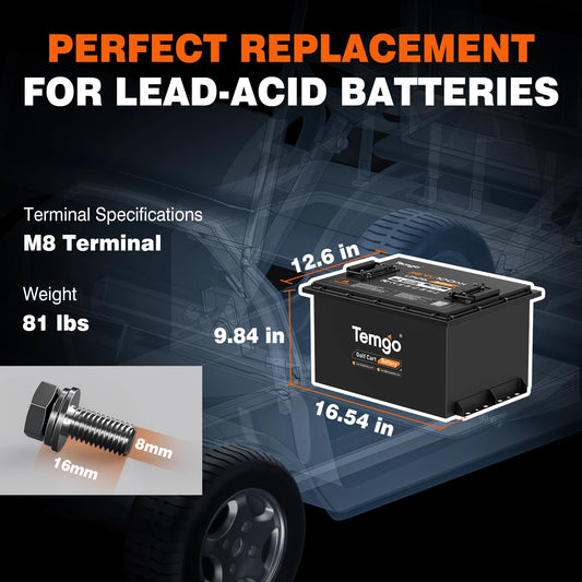 Temgo 36V 100Ah 3.84kWh Lithium Golf Cart Battery with SOC Indicator Display, Built-in 200A BMS & Bluetooth, 4000+ Cycles & IP67, 12S1P