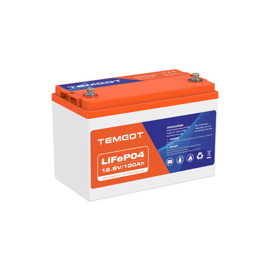 Temgot 12V 100Ah LiFePO4 Battery, 1280Wh Lithium Battery with 100A BMS, Low Temp Cutoff Battery for RV/Camper, Solar, and Off-Grid
