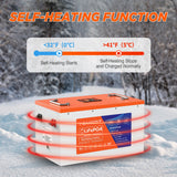 Temgot LiFePO4 12V 460Ah 5888Wh Self-Heating Battery with Touchable LCD Screen, Built-in 300A BMS & Bluetooth, 5000+ Cycles, Perfect for RVs, Yacht, Marine, Boat, UPS, Home Energy