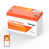Temgo 12V100Ah self-heating lithium battery bird's view