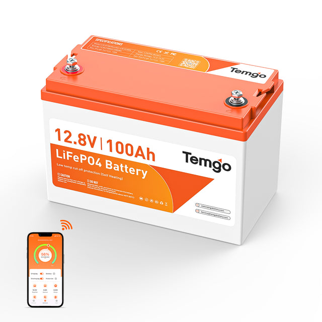 Temgo 12V100Ah self-heating lithium battery bird's view