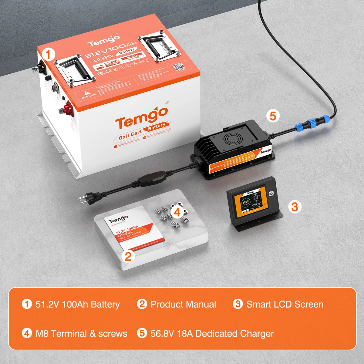 Temgo 48V 100Ah Golf Cart Lithium Battery Conversion Kit, IP67 for All-Weather Use
