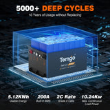 Temgo 48V 100Ah Lithium Golf Cart Battery Conversion Kit with Bluetooth APP, SPCC casing