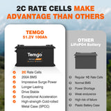 Temgo 48V 100Ah Lithium Golf Cart Battery Conversion Kit with Bluetooth APP, SPCC casing