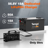 Temgo 48V 100Ah Lithium Golf Cart Battery Conversion Kit with Bluetooth APP, SPCC casing