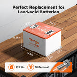 Temgo 48V 100Ah 5.12kWh Lithium Golf Cart Battery with SOC Indicator Display, Built-in 200A BMS & Bluetooth, 5000+ Cycles & IP67, 16S1P