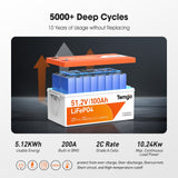 Temgo 48V 100Ah 5.12kWh Lithium Golf Cart Battery with LCD Screen Display, Built-in 200A BMS & Bluetooth, 5000+ Cycles, 16S1P