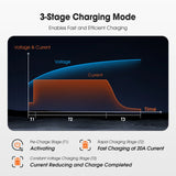14.6V 20A Smart Battery Charger, LiFePO4 Battery Charger for 12V Lithium Battery, Perfect for LiFePO4 Battery Recharging, Support Fast Charging