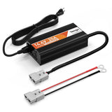 14.6V 20A Smart Battery Charger, LiFePO4 Battery Charger for 12V Lithium Battery, Perfect for LiFePO4 Battery Recharging, Support Fast Charging