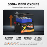 Temgot 48V 50Ah 2.56kWh Lithium Golf Cart Battery with LCD Screen Display, Built-in 100A BMS & Bluetooth, 5000+ Cycles & IP67, 16S1P