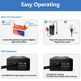 14.6V 20A Smart Battery Charger, LiFePO4 Battery Charger for 12V Lithium Battery, Perfect for LiFePO4 Battery Recharging, Support Fast Charging