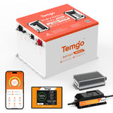 Temgo 48V 100Ah Golf Cart Lithium Battery Conversion Kit with Bluetooth APP & Touch Screen, SPCC Casing