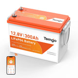 overview of Temgo 12V 300Ah LiFePO4 battery