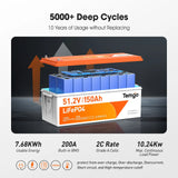 Temgo 51.2V 150ah Lithium Golf Cart Battery