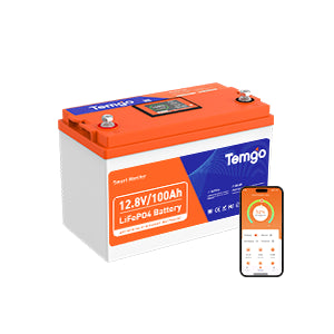 12V 100Ah Self-Heating