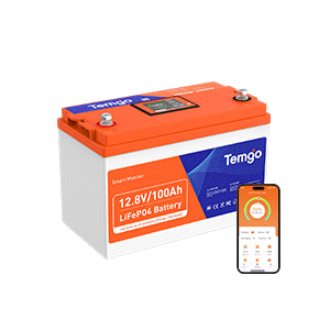 12V 100Ah